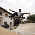 Xdog fs ollie